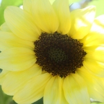 ardenwoodfarm05
