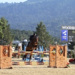 grandprix02