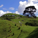 nzhobbiton03