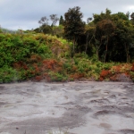 nzrotoruahotsprings01