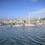 nzwellingtonharbor04