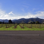 nzwinecountry01
