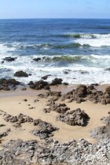pescadero07