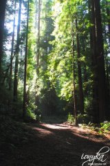 pescadero27